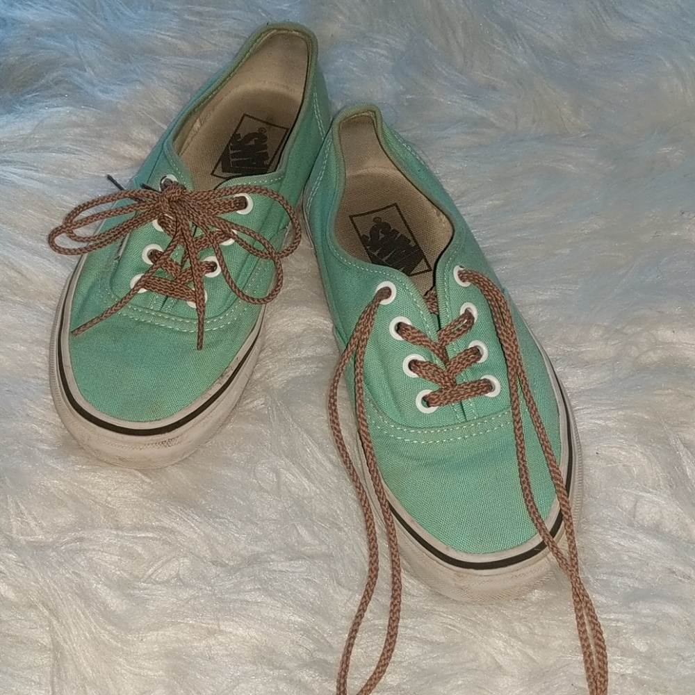 Mint Vans